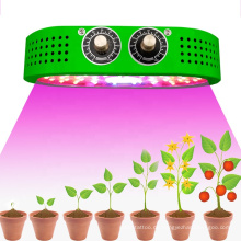 1000W Vollspektrum-LED COB Indoor Hydroponics Plant Grow Light für Grünpflanzenwachstum LED-Lampen